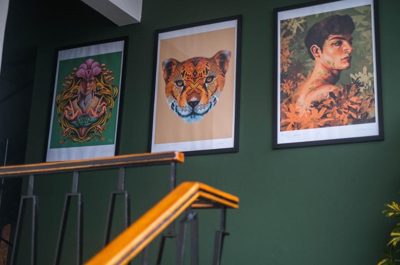 Black Llama Hostel Miraflores Lima Exterior photo